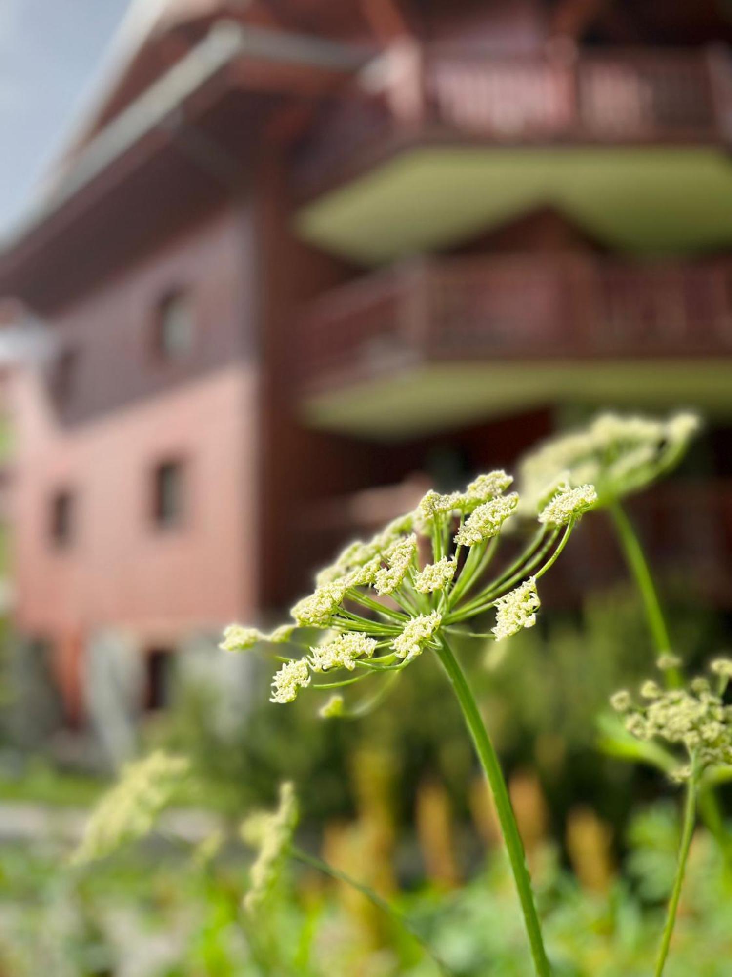 Appartments In Tignes Ecrin Des Neiges Екстер'єр фото